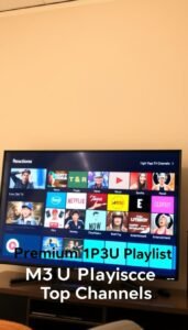 iptv premium server
